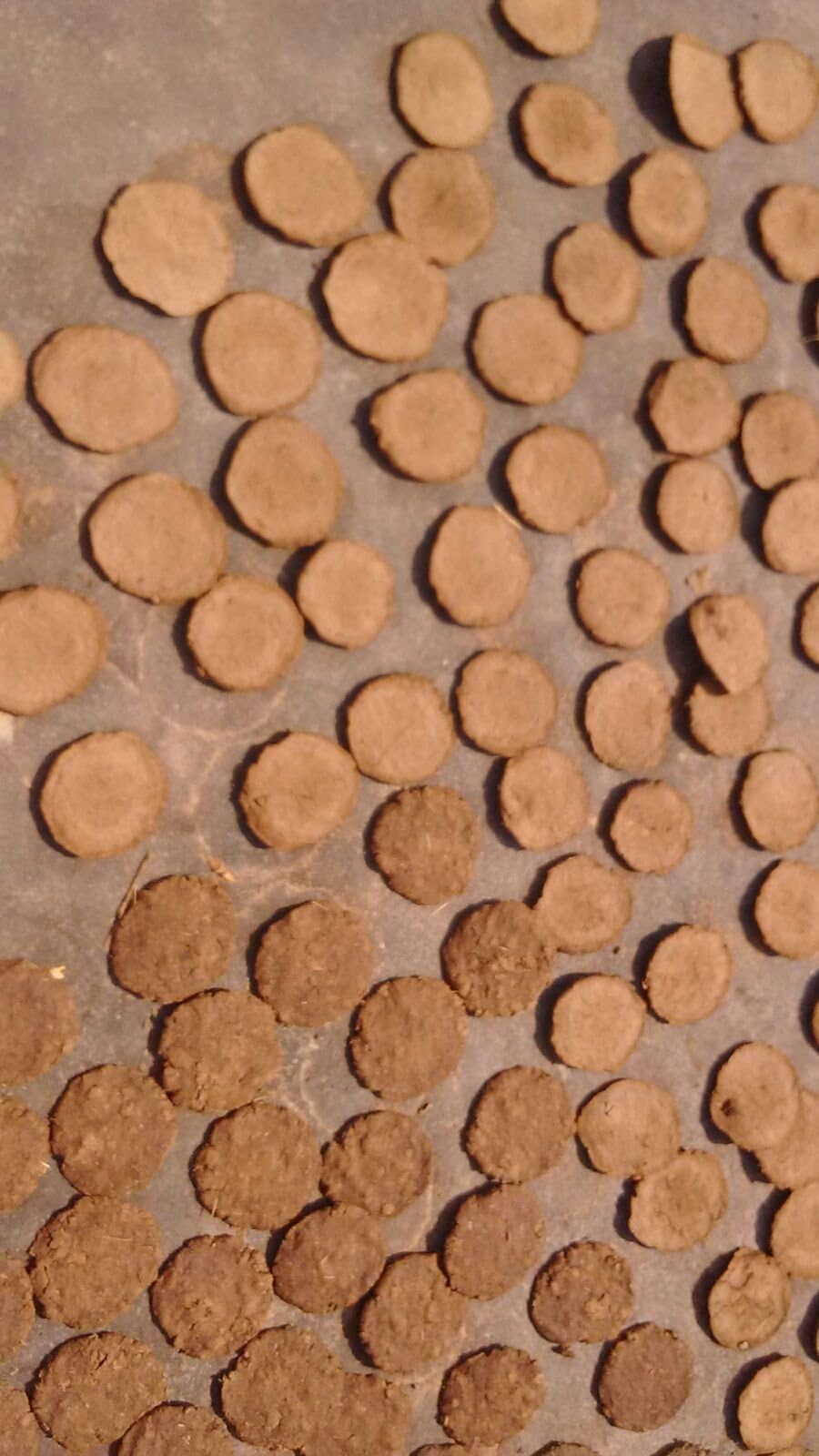Shreenath Earthenware Cow Dung Cake (Brown)