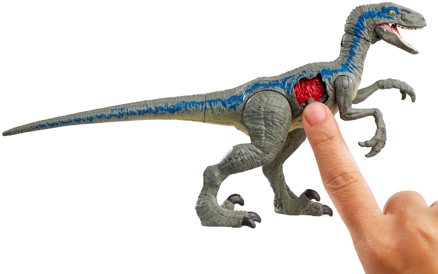 Jurassic World Velociraptor Blue Ferite Da Combattimento Dinosauro Del Film Fnb33