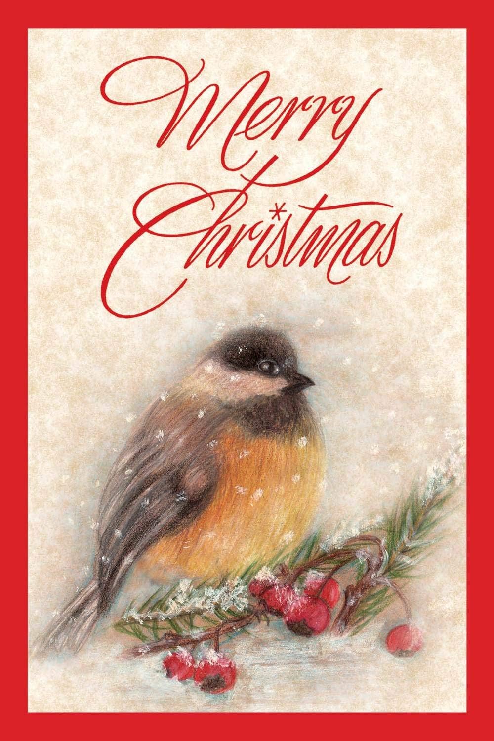 Christmas Boxed Greeting Card MultiPack Set (4x6) by