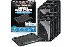 MOUSINATOR Mouse Glue Traps, 12-Pack, Heavier Plastic Glue Trap with Extra-Strong Adhesive for Small Mice, Sticky Mouse Trap 