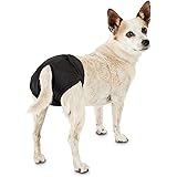 so phresh disposable wrap