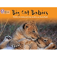 Big Cat Babies: Band 05/Green (Collins Big Cat) book cover Big Cat Babies: Band 05/Green (Collins Big Cat) book cover