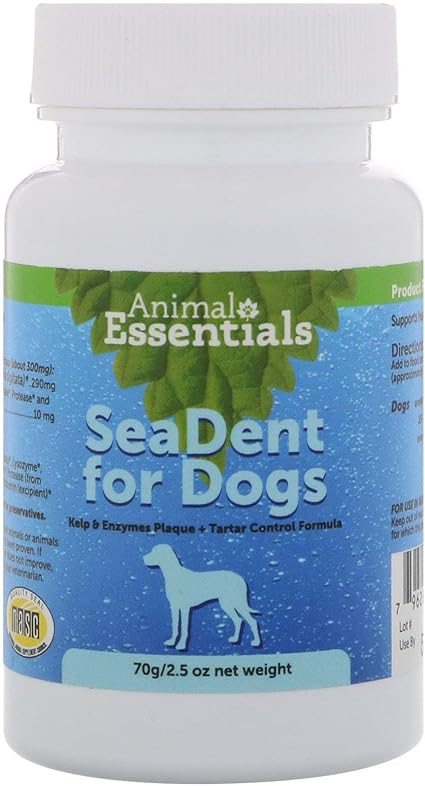 cool fish for small tanks