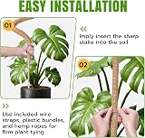 Mcbazel Moss Pole 60cm+120cm Bendable Coir Plant Support view 5