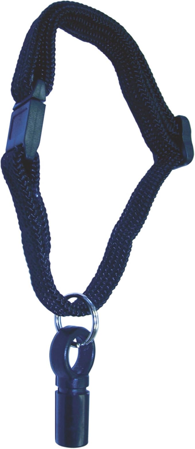 cat flap with collar