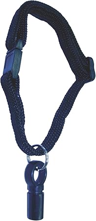 miniature cavachon puppies for sale