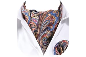 HISDERN Ascot Ties for Men Paisley Cravat Tie and Pocket Square Set Floral Mens Ascot Scarf Handkerchief Wedding Party