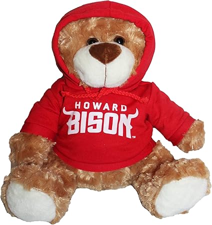 red teddy bear hoodie