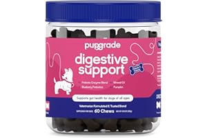 PupGrade Digestive Support Chews for Dogs - Prebiotic and Probiotic Supplement with Enzyme Blend - Upset Stomach, Diarrhea, Bowel, and Immune Support - Pumpkin, Blueberry, Mineral Oil - 60 Soft Chews