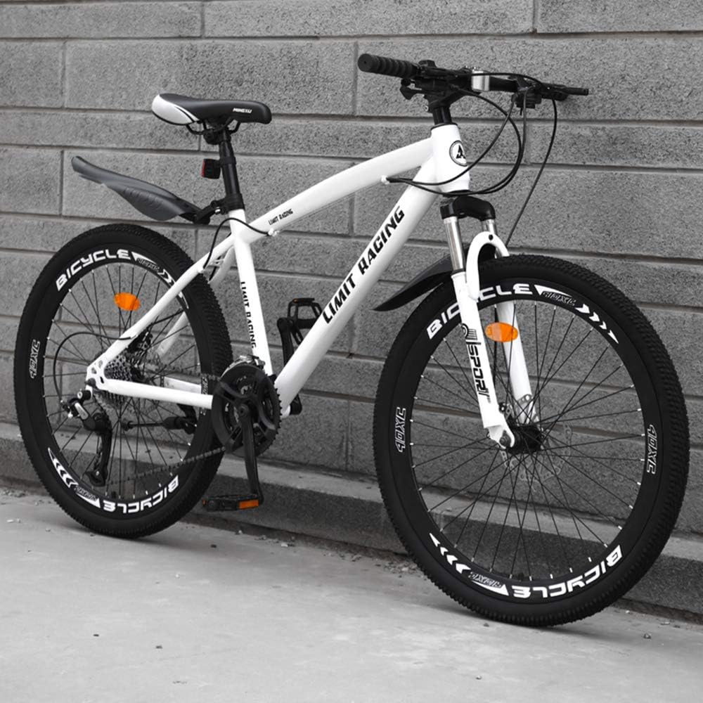 lightweight mountain bike