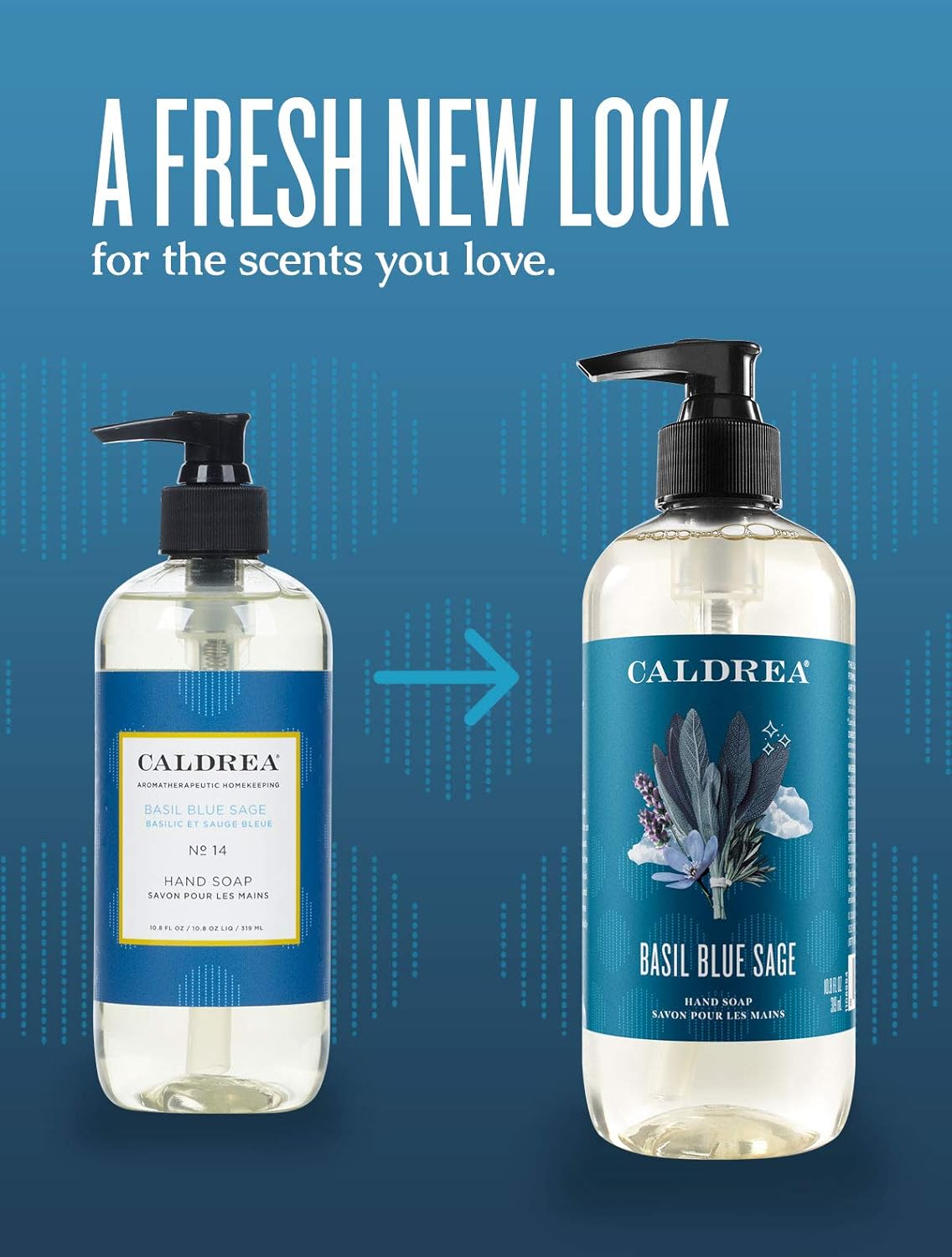 Amazon Com Caldrea Hand Wash Soap Aloe Vera Gel Olive Oil And Essential Oils To Cleanse And Condition Basil Blue Sage Scent 10 8 Oz Packaging May Vary Health Personal Care