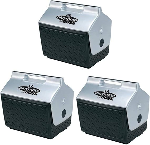 igloo playmate the boss