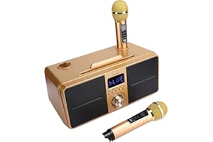 Haofy Portable Karaoke Speaker, Crystal Clear Sound, 3 Hours Battery Life, Black (Gold)
