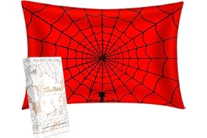 Miss Adola 1 Pack Kids Pillowcase - 30"x20" Queen Mulberry Silk Pillow Case for Hair and Skin 19 Momme Cute Cartoon Kawaii Fun Pillowcase for Teens Boys Girls, Zhizhuxia Eyes