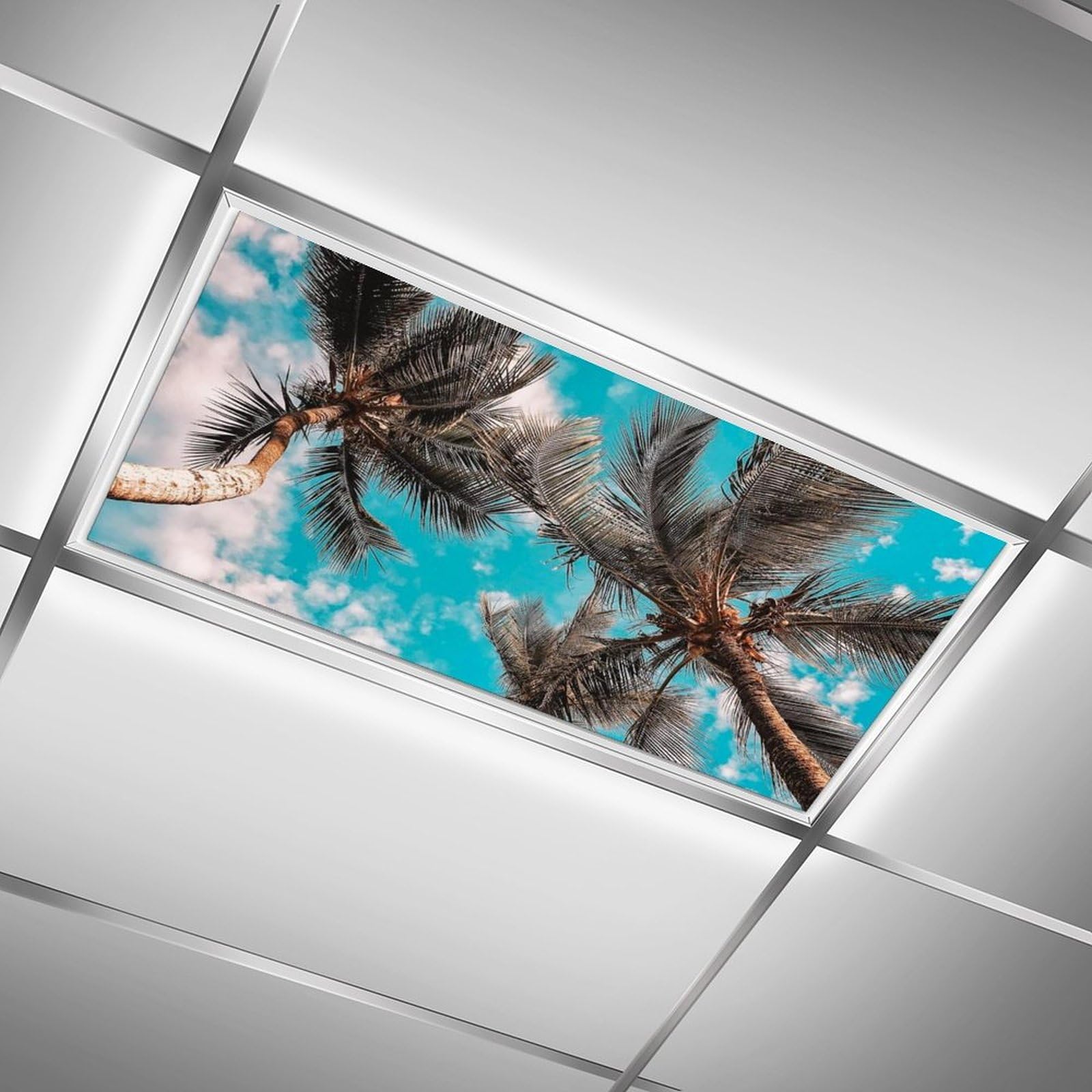 Photo 1 of Dujupu 2Pcs Fluorescent Light Covers for Classrooms, Magnetic Light Filters for Ceiling Lights Classroom Office Kitchen Light Coverings for Decoration?Eliminate Harsh Glare Causing?Coconut Tree ?