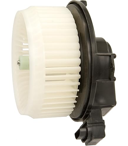 Amazon.com: TYC 700203 Ford/Lincoln Replacement Blower Assembly  