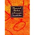 Numerical Methods in Economics (The MIT Press)