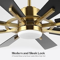 WINGBO 60" DC Ceiling Fan with Lights and Remote