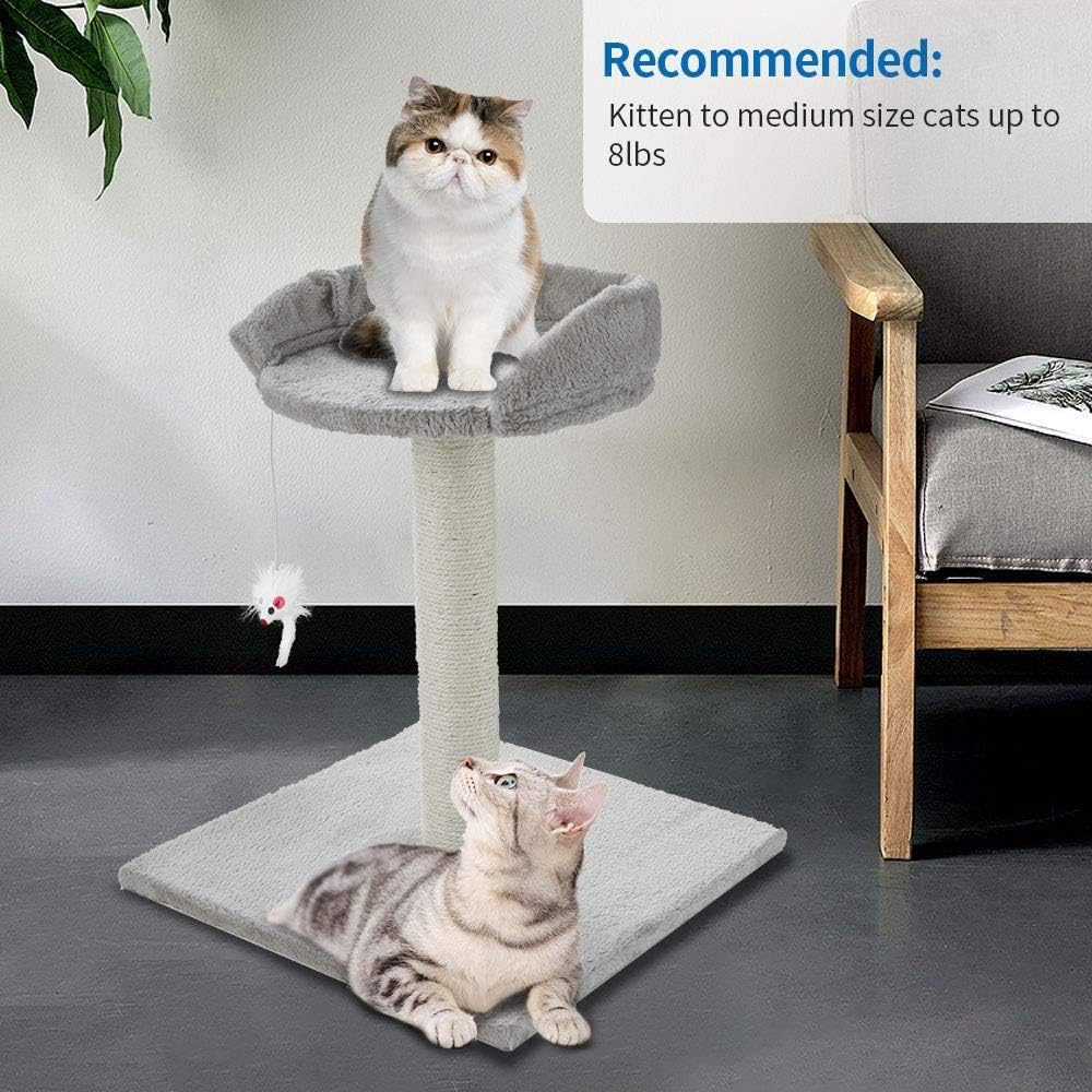 ScratchMe Tree Condo with Scratching Post : Pet Supplies