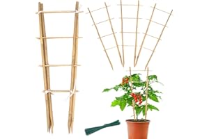 GAGINANG Bamboo Trellis 16" Ladder Vertical Gardening Plant Trellis for Climbing Plants Orchid Monstera and Indoor Potted Plants-6 Pack