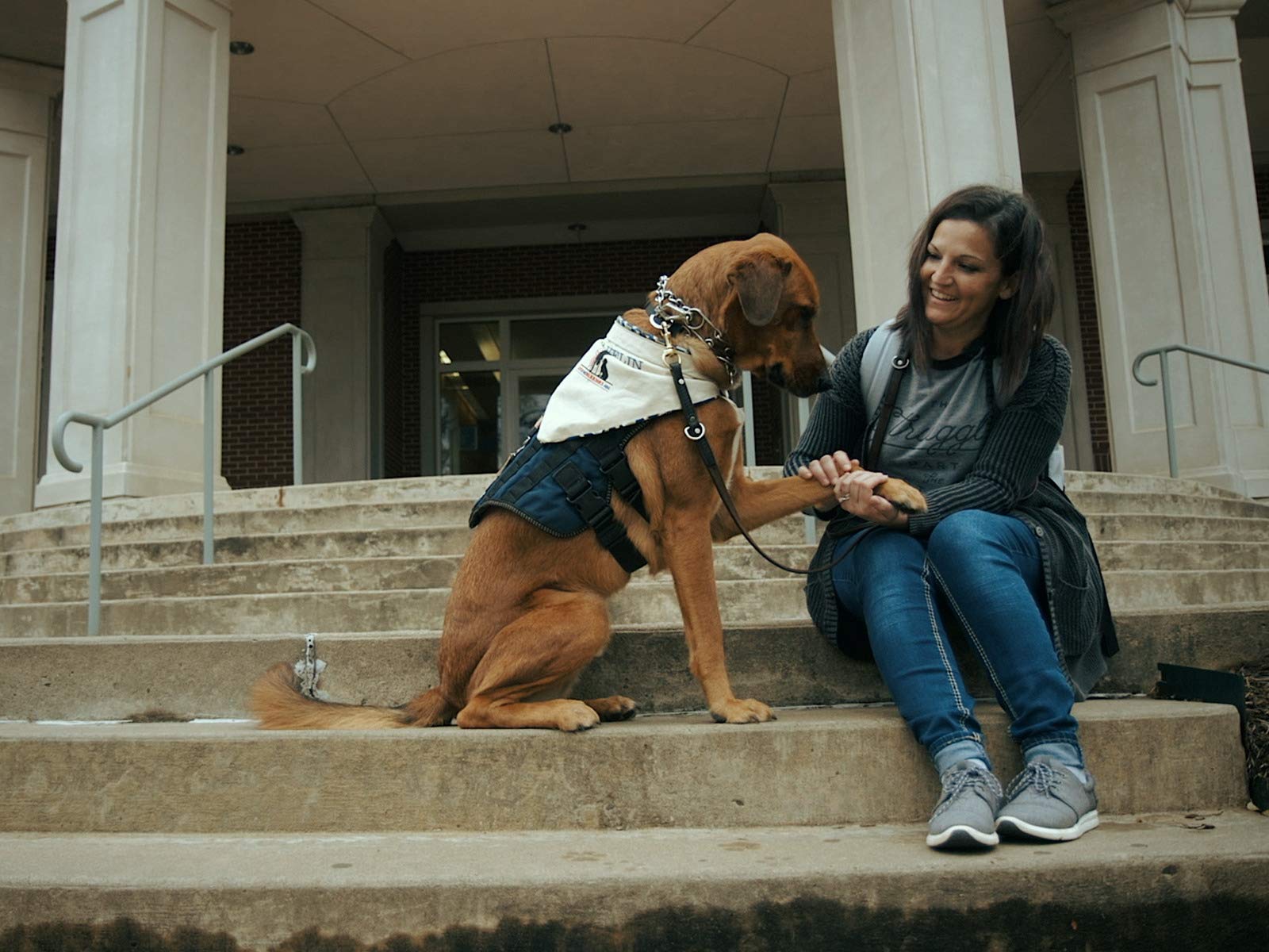 a new leash on life the k9s for warriors story