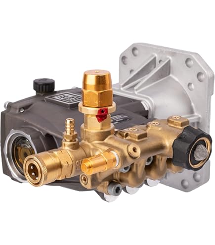 Amazon.com : AAA Model DW3635 Triplex Plunger Pump OEM Replacement