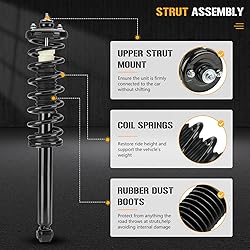 Rear Complete Struts Spring Assembly Shocks