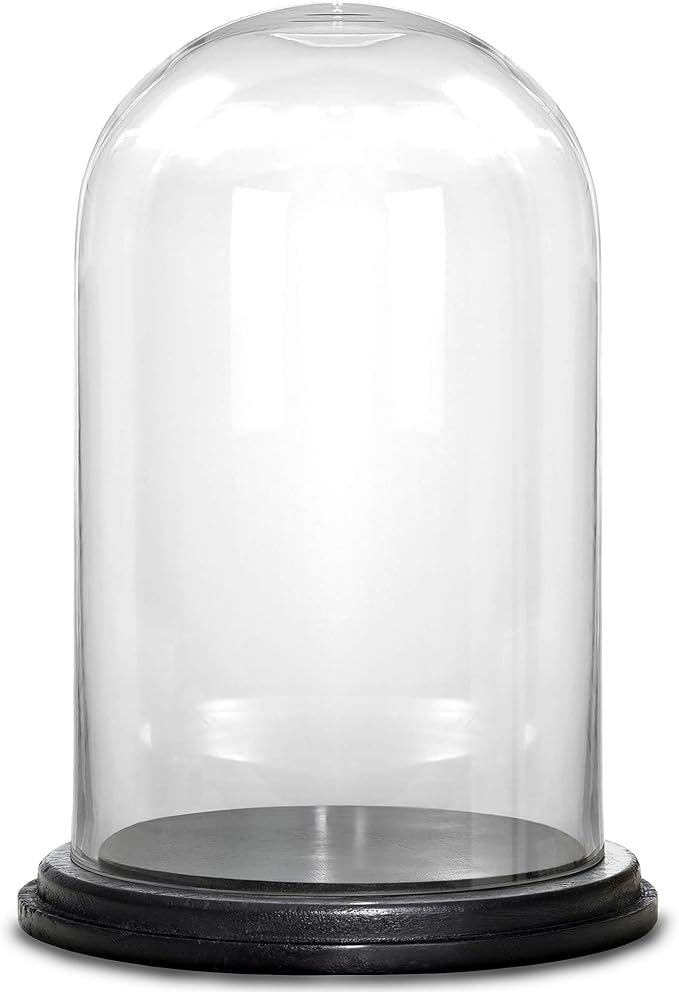 CYS EXCEL Glass Dome, Jewelry Holder, Rose Display Case