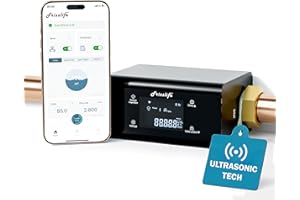 Frizzlife LP365 Smart Water Monitor and Automatic Shutoff - 0.01GPM Ultrasonic Micro Leak Detection, APP Wi-Fi Remote Control, Real-Time Flow/Temp Monitoring, 24/7 Water Usage Reports, 3/4" and 1"