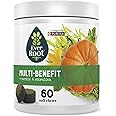 EverRoot by Purina Multi-Benefit Dog Supplements Soft Chews - 10.6 oz. Canister