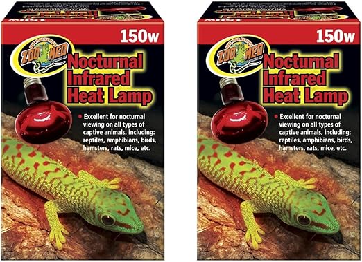 amazon reptile store