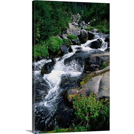 Amazon.com: GREATBIGCANVAS Gallery-Wrapped Canvas Entitled ...