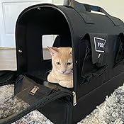 all in one cat carrier