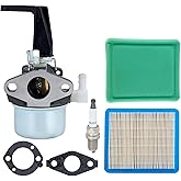 Hipa 696065 697422 Carburetor Tune Up Kit for Brigs &amp; Straton 6.5hp 5.5hp | Fit 110402 110412 6HP 6.5HP 5HP 5.5HP 7HP Engine Tiller Generator Intek Motor Pressure Washer 215369 Carb 491588S Air Filter