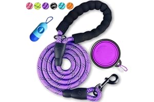 DOYOO Dog Leash 2FT/5FT/6 FT Thick Durable Nylon Dog Rope - Comfortable Padded Handle Reflective Rope Dog Leash for Medium Large Dogs with Collapsible Pet Bowl and Garbage bags (Purple 1/2" x 6 FT)