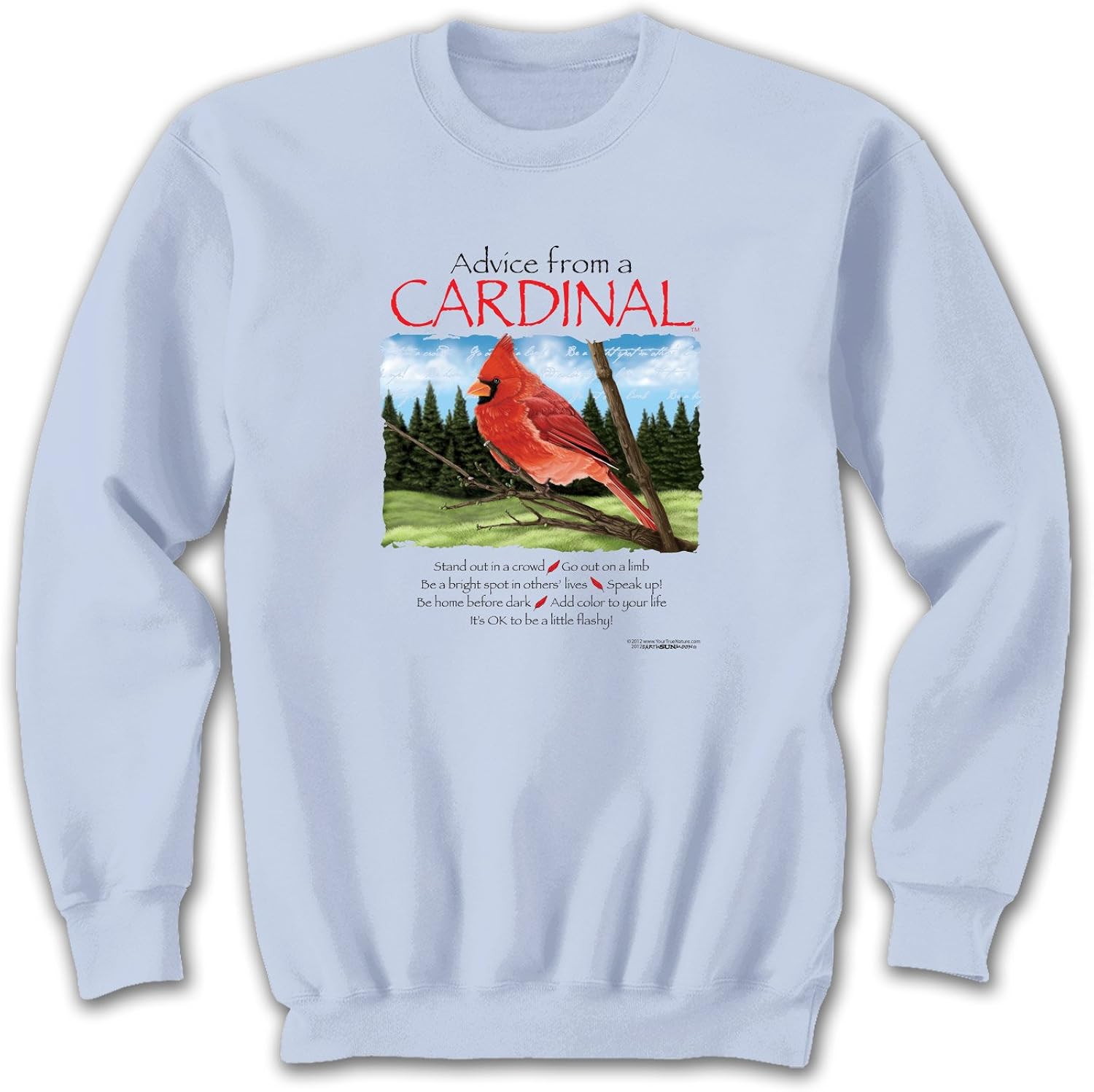 cardinal bird sweater