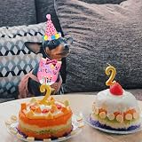 SUOXU Dog Birthday Bandana Hat Bow Tie Set Blue Pink 24.8 x 18.1 x 18.1 view 5