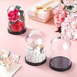 Zhengmy 12 Pcs Plastic Dome Display Case Cloche