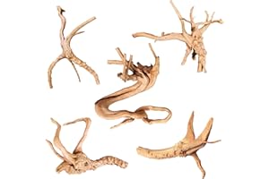 majoywoo Natural Driftwood for Aquarium Decor Fish Tank Decorations, Assorted Spider Wood Branch 4-8" 5 Pcs, Reptile Decor