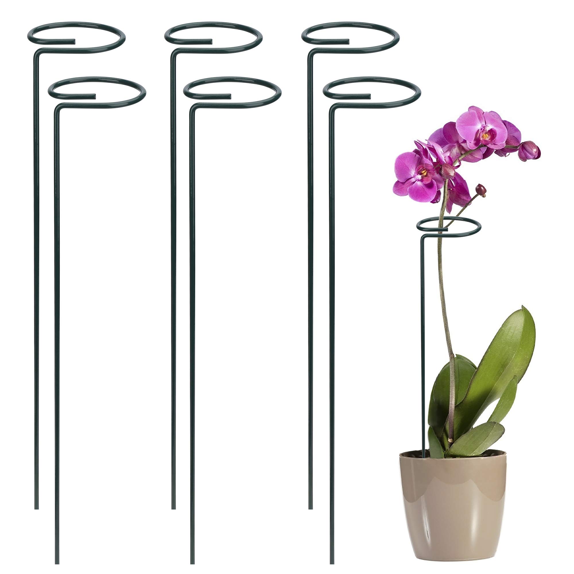 FT-SHOP Plant Support Stakes Garden Flower Support Stake Steel Single Stem Support Stake for Flowers, Tomatoes, Peony, Lily, Rose 6 Pieces (15.8 inch Long)