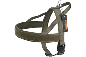 EXCELLENT ELITE SPANKER No-Pull Dog Harness Soft Padded Adjustable Nylon Pet Harness for Training Running(RGN-M)