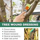 Hivetz 100g Tree Wound Sealer Wound Dressing Grafting Wax with Brush view 4