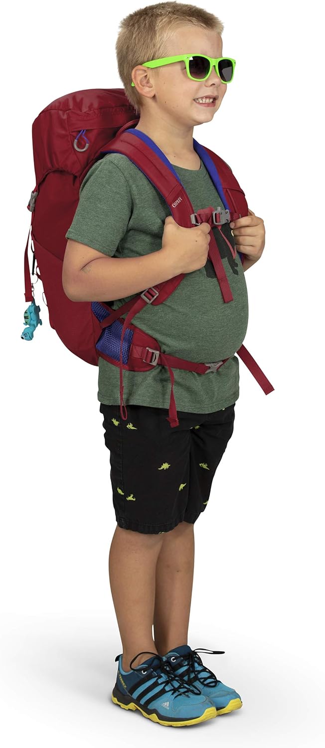 osprey jet 18 backpack