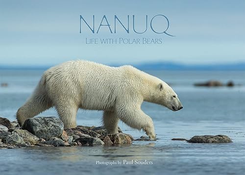 Download Nanuq: Life With Polar Bears PDF