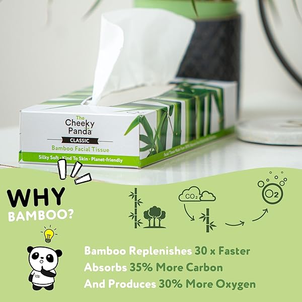 THE CHEEKY PANDA BAMBOO FACIAL TISSUES BOXES | FLAT TISSUE BOX (80 TISSUES PER BOX) | SOFT 3 PLY BAMBOO TISSUE PAPER