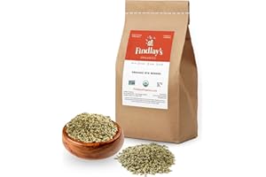 Rye Berries Organically Grown in Michigan, Farmer Direct, USDA Organic Certified, Non-GMO, 10 Lbs Total // Findlay's Organics