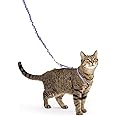 PetSafe Come with Me Kitty Harness and Bungee Leash, Medium, Lilac