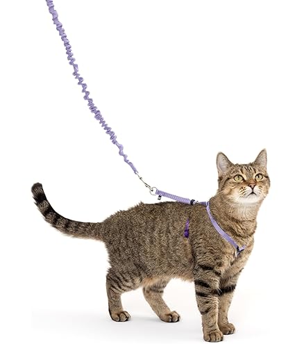 Laisse Pour Chat Wholesale Escape Proof With Leash Adjustable For