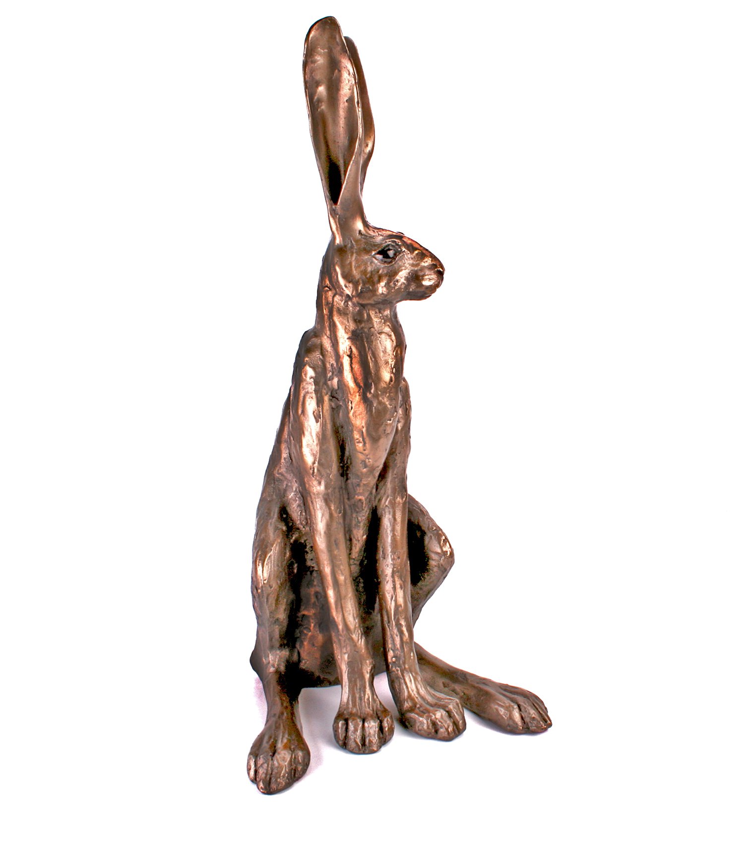 'Sitting Hare' Large Bronze Hare Sculpture by Paul Jenkins Frith Buy