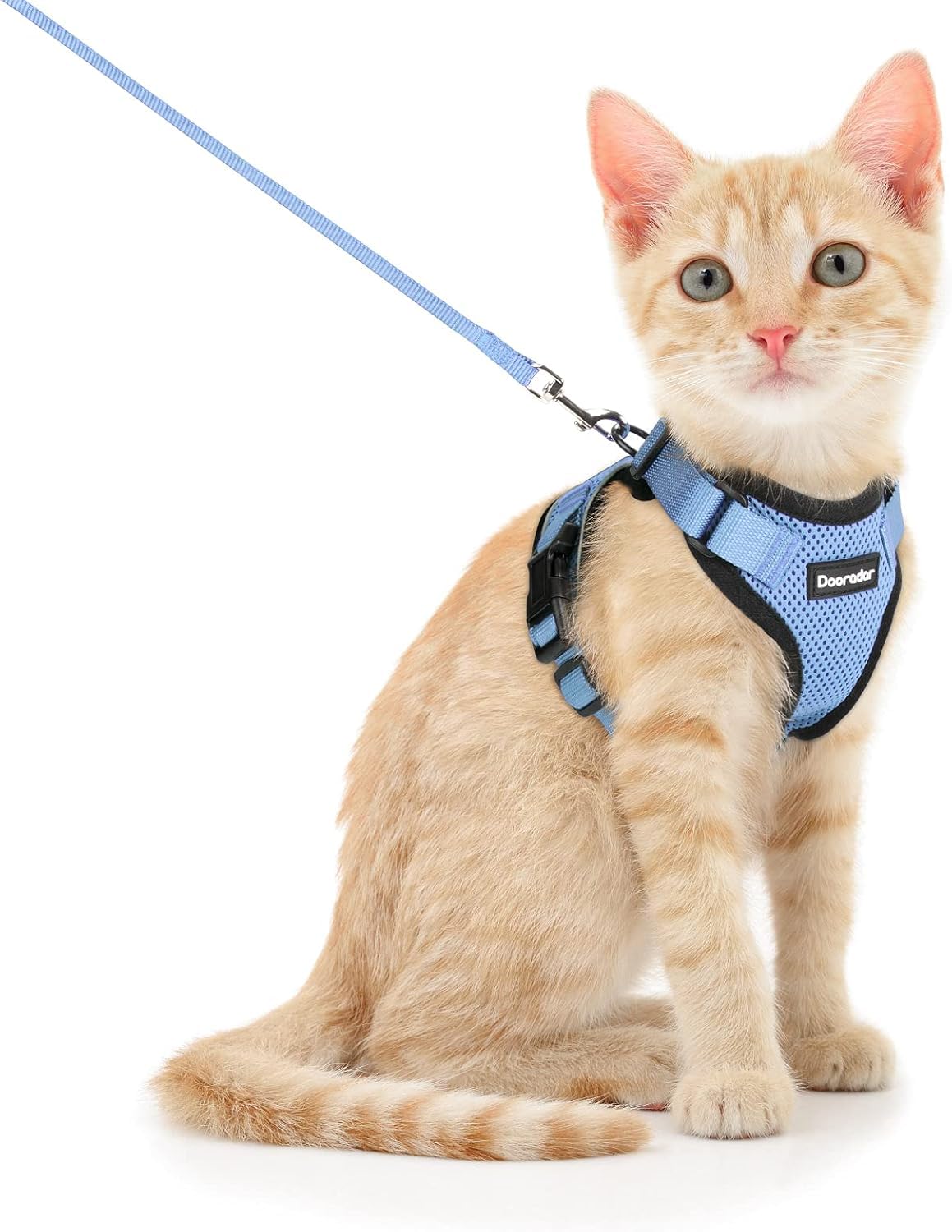Photo 1 of Dooradar Cat Harness and Leash Set, Escape Proof Safe Adjustable Kitten Vest Harnesses for Walking, Easy Control Soft Breathable Mesh Jacket with Reflective Strips for Cats,Light Blue, XS